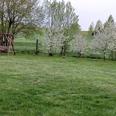 Domek Na Mazurach -Pieczarki Pozezdrze Zimmer foto