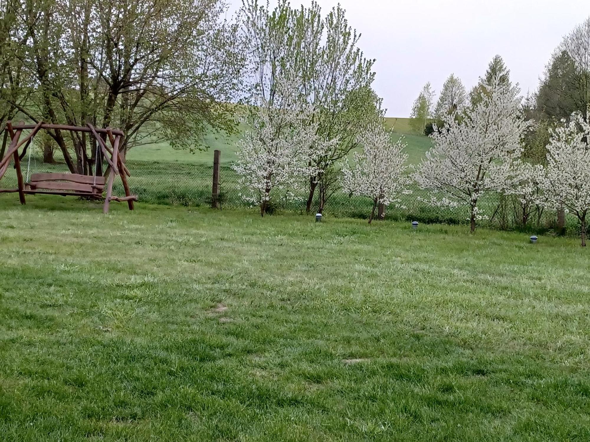 Na Mazurach -pieczarki *